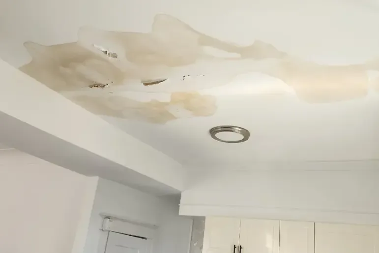 Water stains spreading across a ceiling around a light fixture
